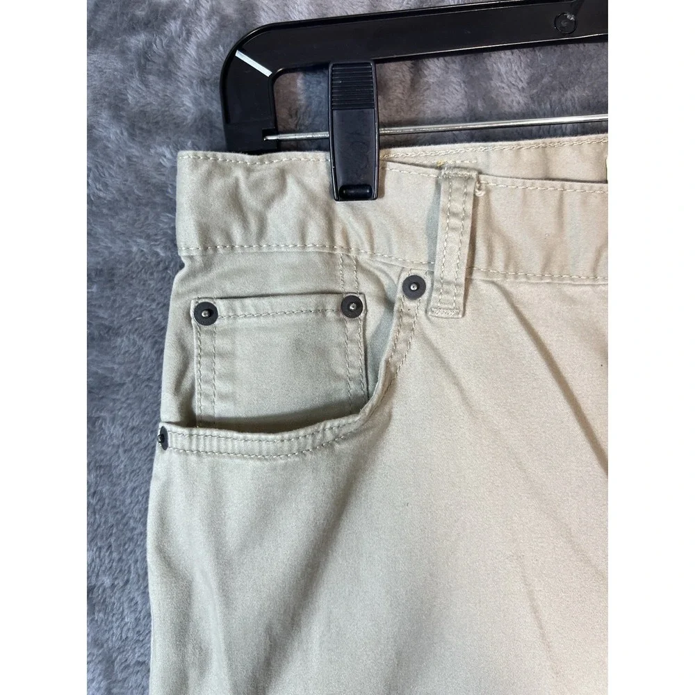 Levis levis 511
